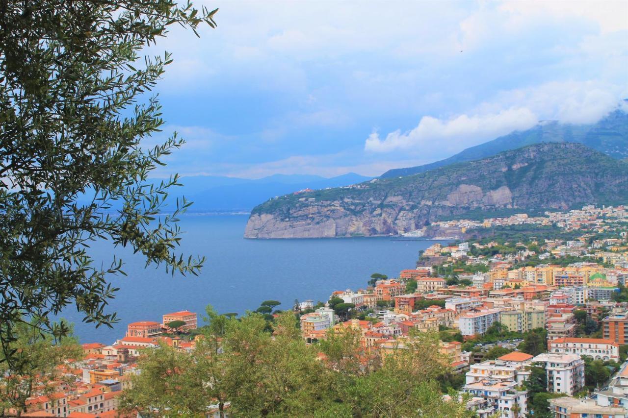Appartamento Sorrento Pacific Hill Esterno foto
